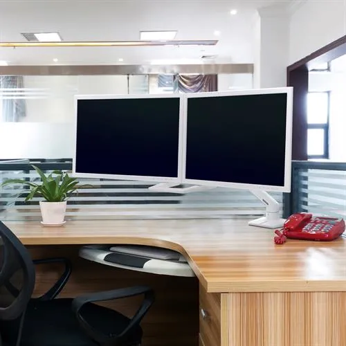ERGOTRON HX Dual Monitor Desktop Arm white