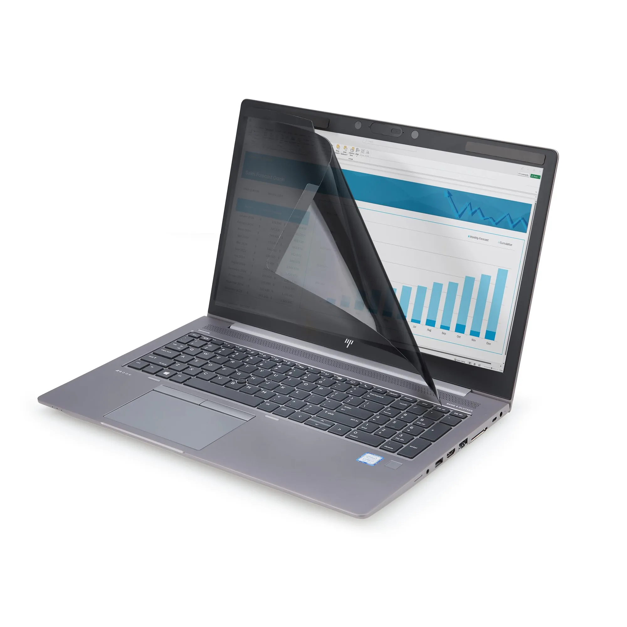 Startech Magnetic - sekretessfilter, 13.3&quot;