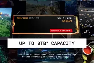 Western Digital WD Black SN8100 8TB M.2 PCIe 5.0 x4 NVMe SSD, Black