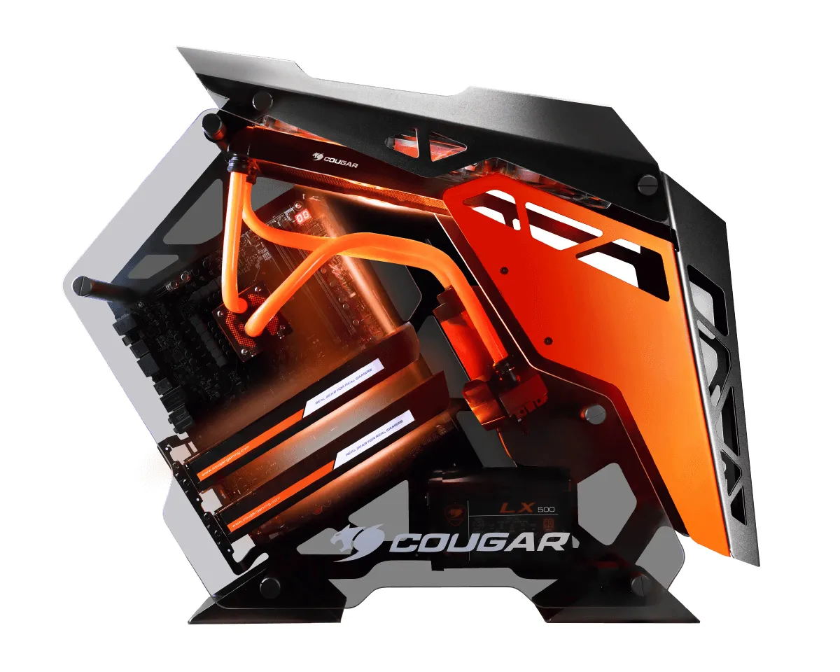 Cougar Case Conquer