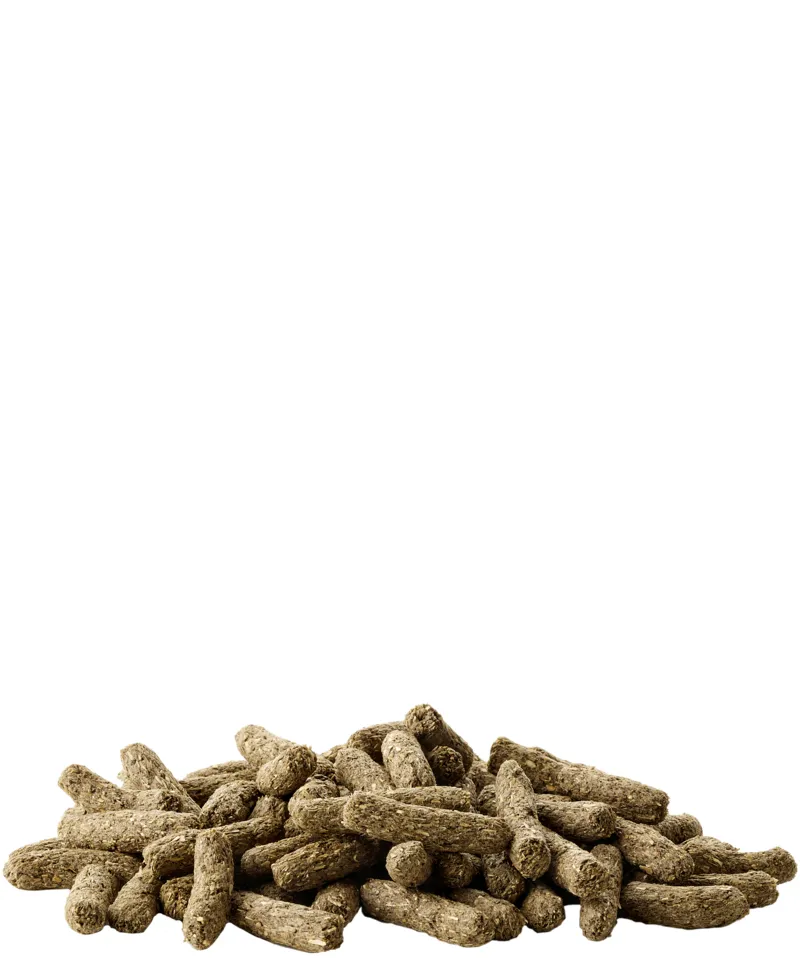 VERSELE-LAGA Complete Cuni Sensitive kaninruoka 1,75 kg