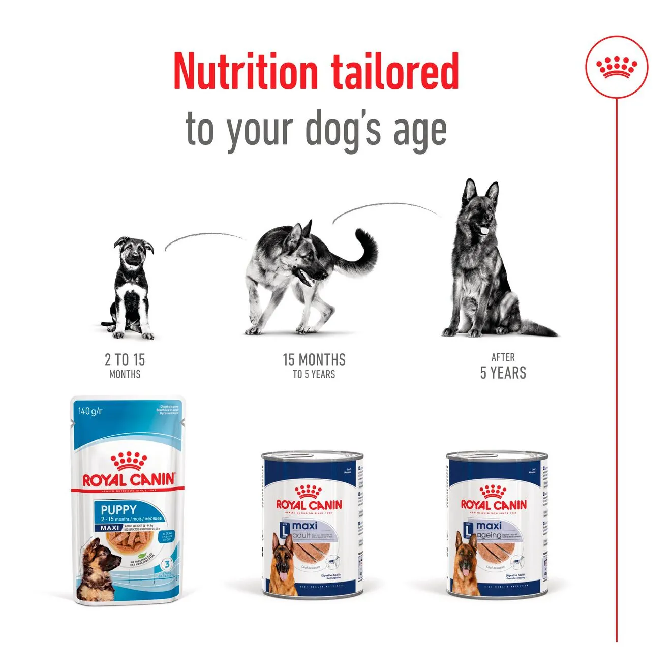 Royal Canin Maxi Ageing Loaf, V&aring;tfoder f&ouml;r hund, Senior, 410 g