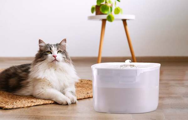 PETONEER Fresco EZ Smart Pet Fountain for Cats and Small Dogs, 2 Litres