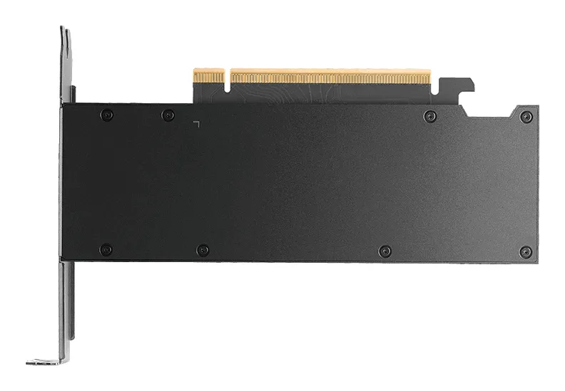 PNY NVIDIA RTX PRO 2000 Blackwell 16 Gt -n&auml;yt&ouml;nohjain