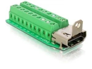 Delock Terminal Block Adapter HDMI female to 20 pin - adapter
