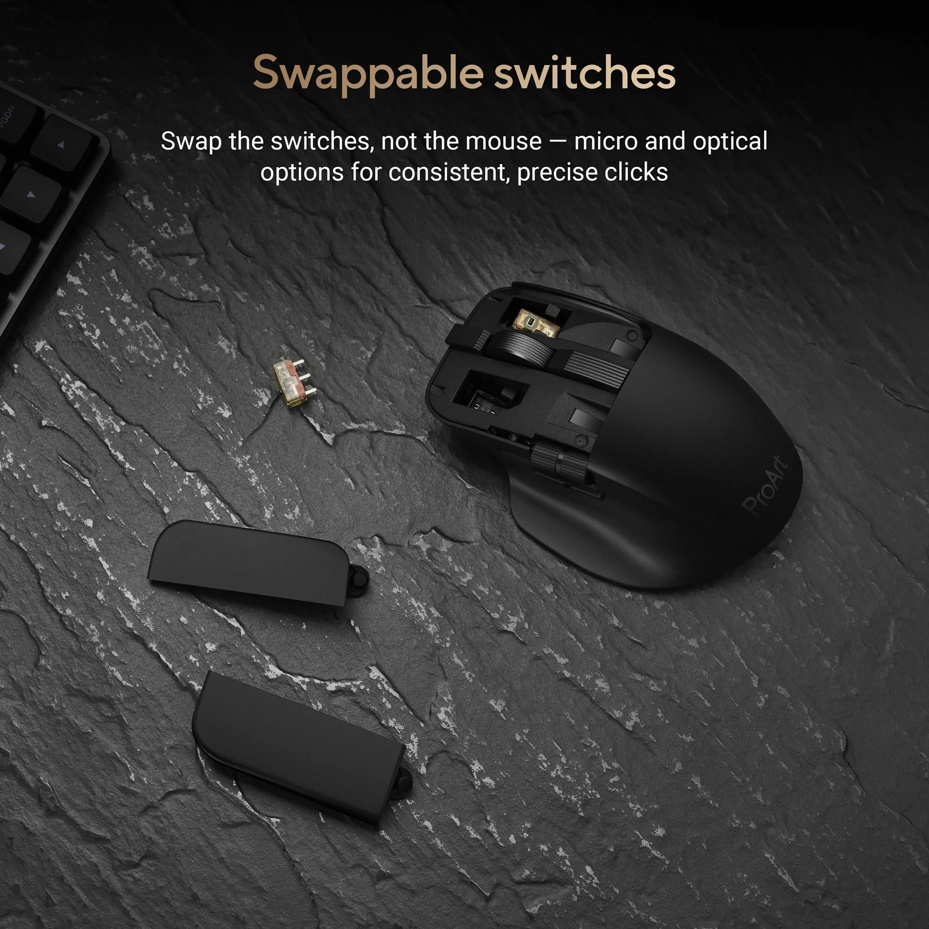 ASUS ProArt MD301 tr&aring;dl&ouml;s ergonomisk mus, svart
