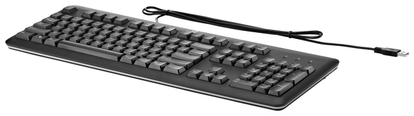 HPINC HP USB Standard Keyboard Black Romania