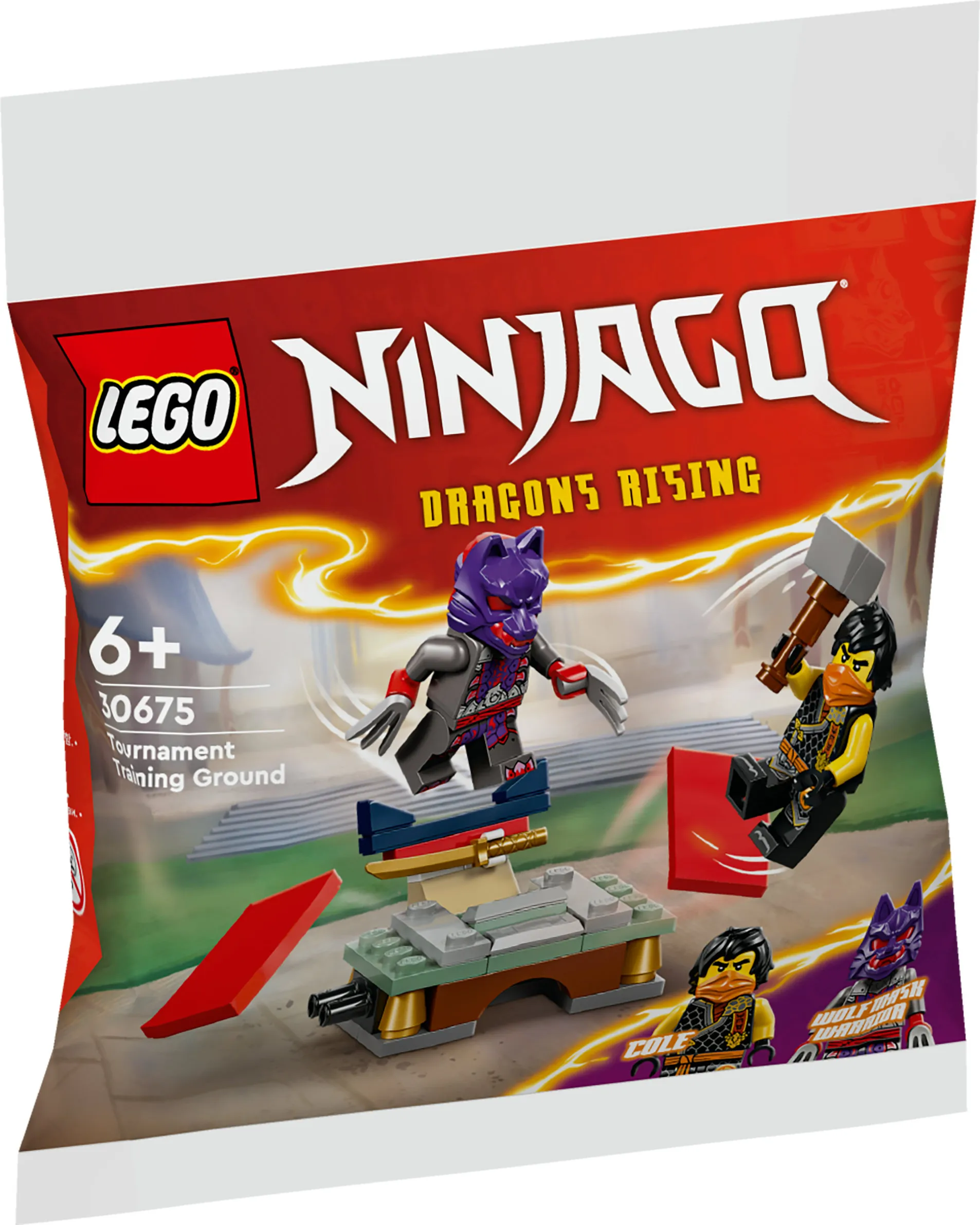 LEGO NINJAGO Tournament Training Ground and Kai and Rapton's Temple Battle 30675