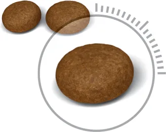 Royal Canin Hair & Skin Care, Kissan kuivaruoka, Adult, 2 kg