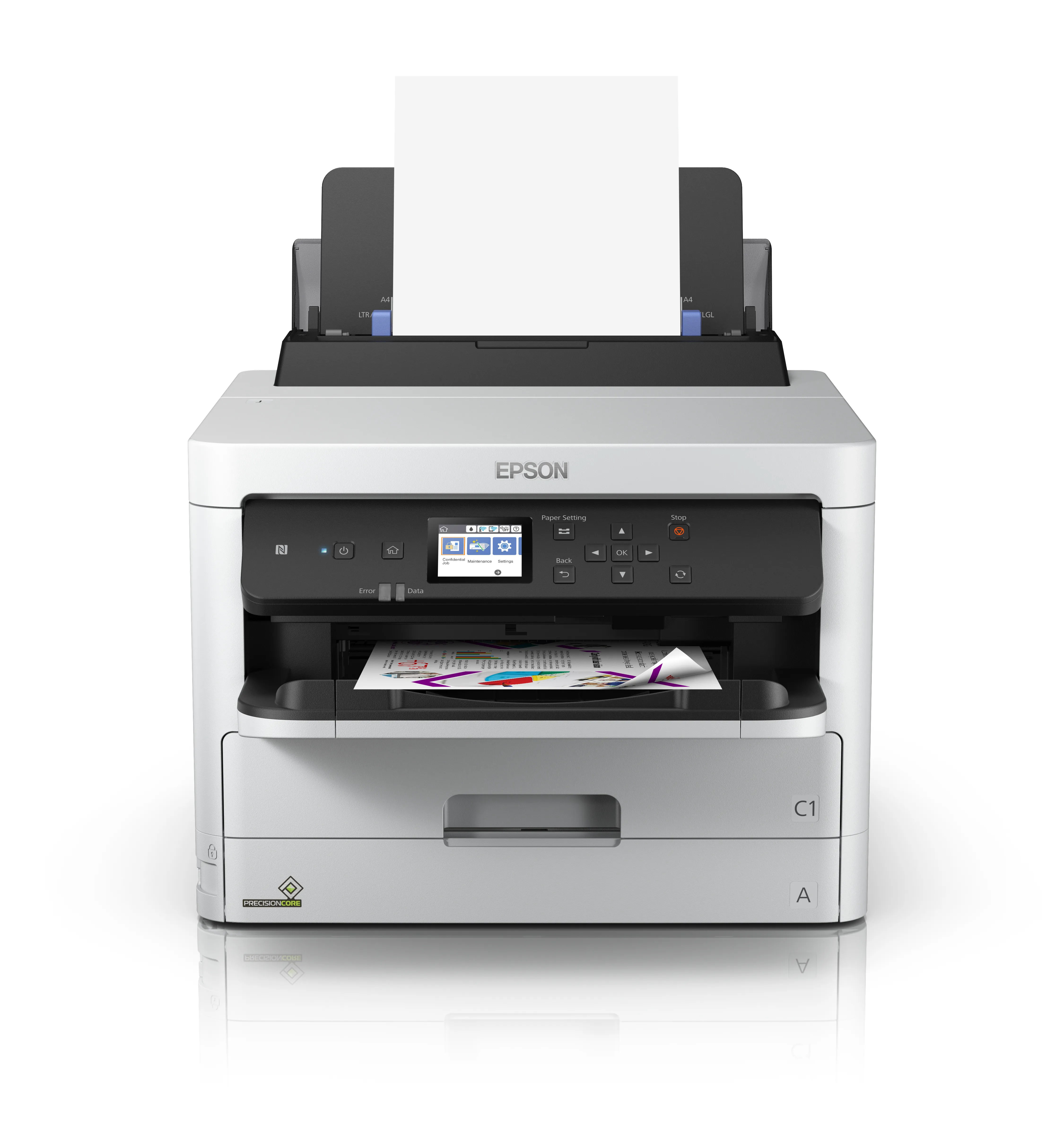 Epson Black XXL Ink Supply Unit, C13T01D100