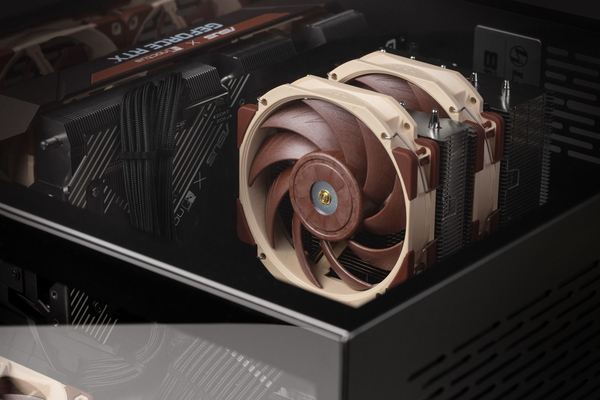 Noctua NF-A12x25r PWM, 120mm - case fan, white