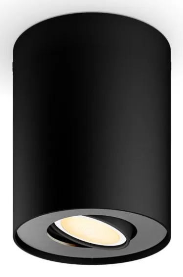 PHILIPS PILLAR HUE EXT. SPOT SINGLE SPOT BLACK 1