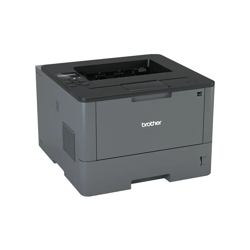 Brother HL-L5000D Duplex Mono Laser Printer