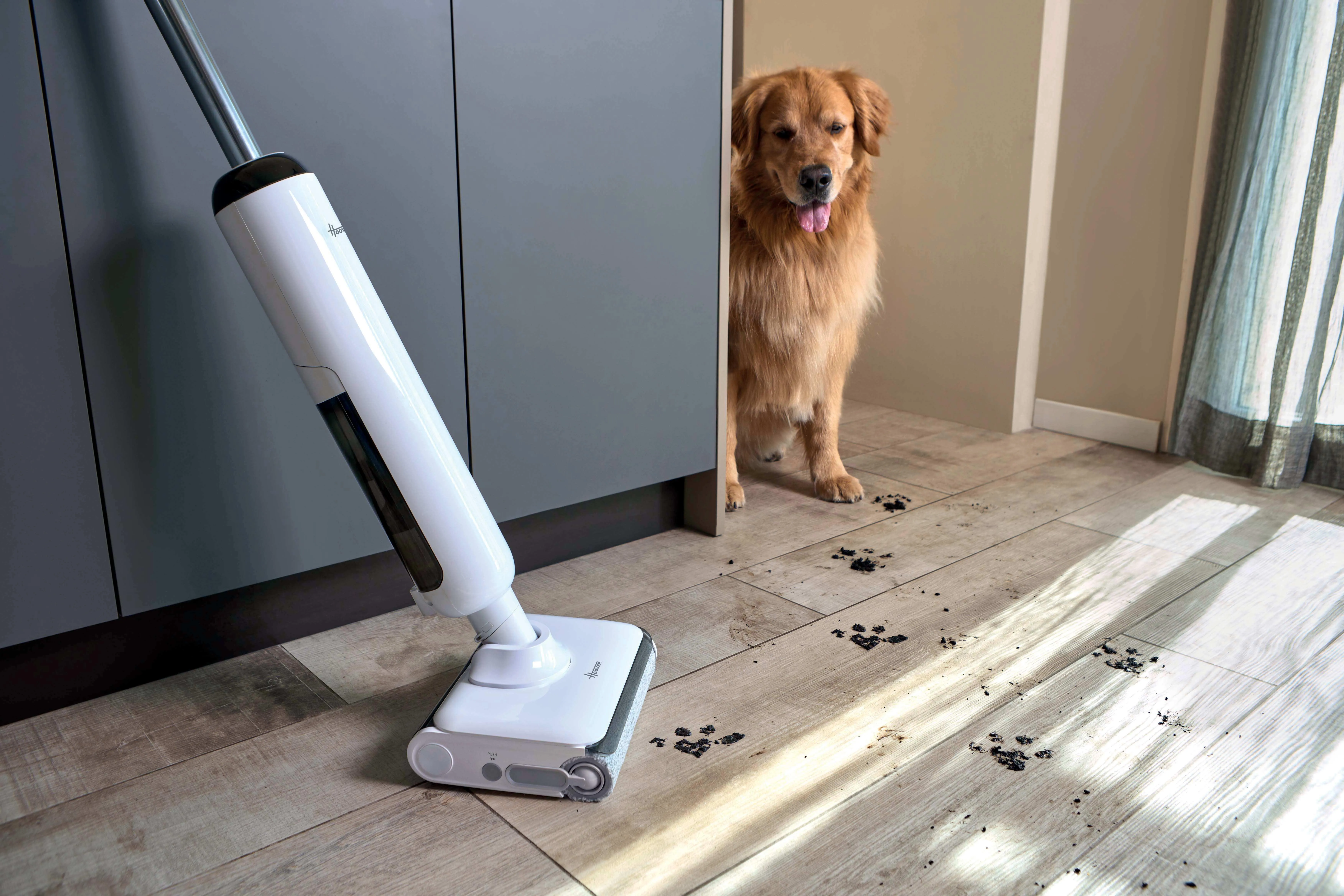 HOOVER HW400 011 Wet and dry vacuum cleaner, White/Silver