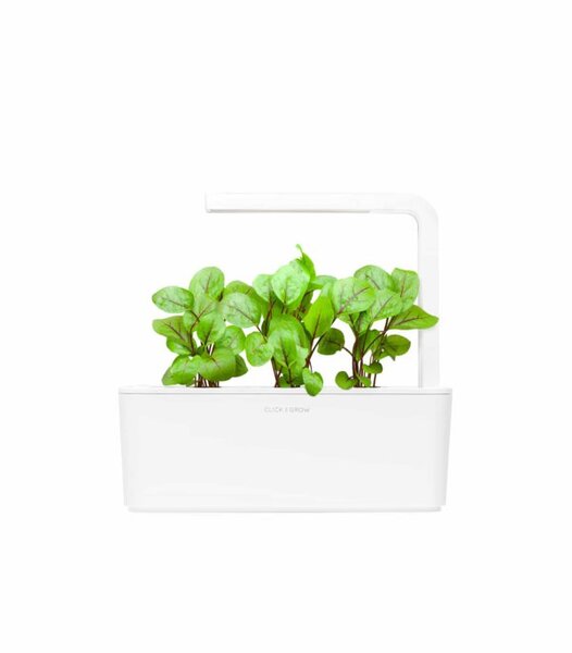 Click and Grow Kupoler 3 pack