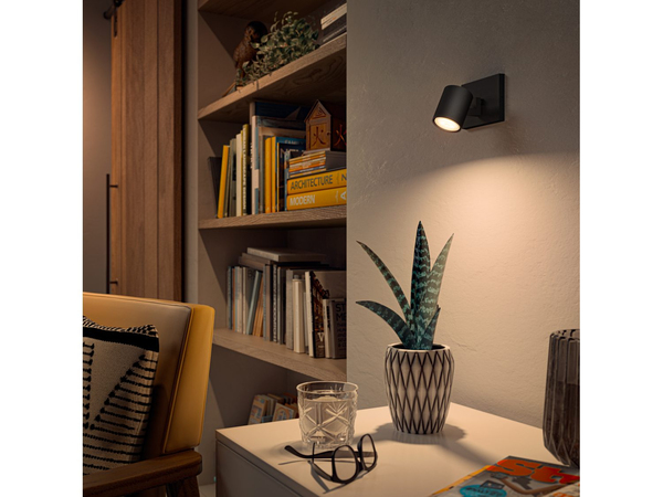 PHILIPS RUNNER HUE EXT. SPOT SINGLE SPOT BLACK 1