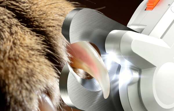 ROJECO RK97-06 Rechargeable Pet Nail Clipper with LED Light