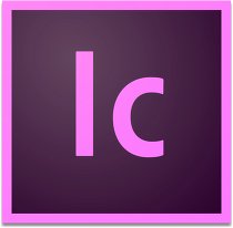 INCOPY CC FOR ENTERPRISE,MLP,MUL,RNW,1 USER,12 MONTHS,LEVEL 14 (100+VIP SELECT 3Y COMMIT),VIP-C