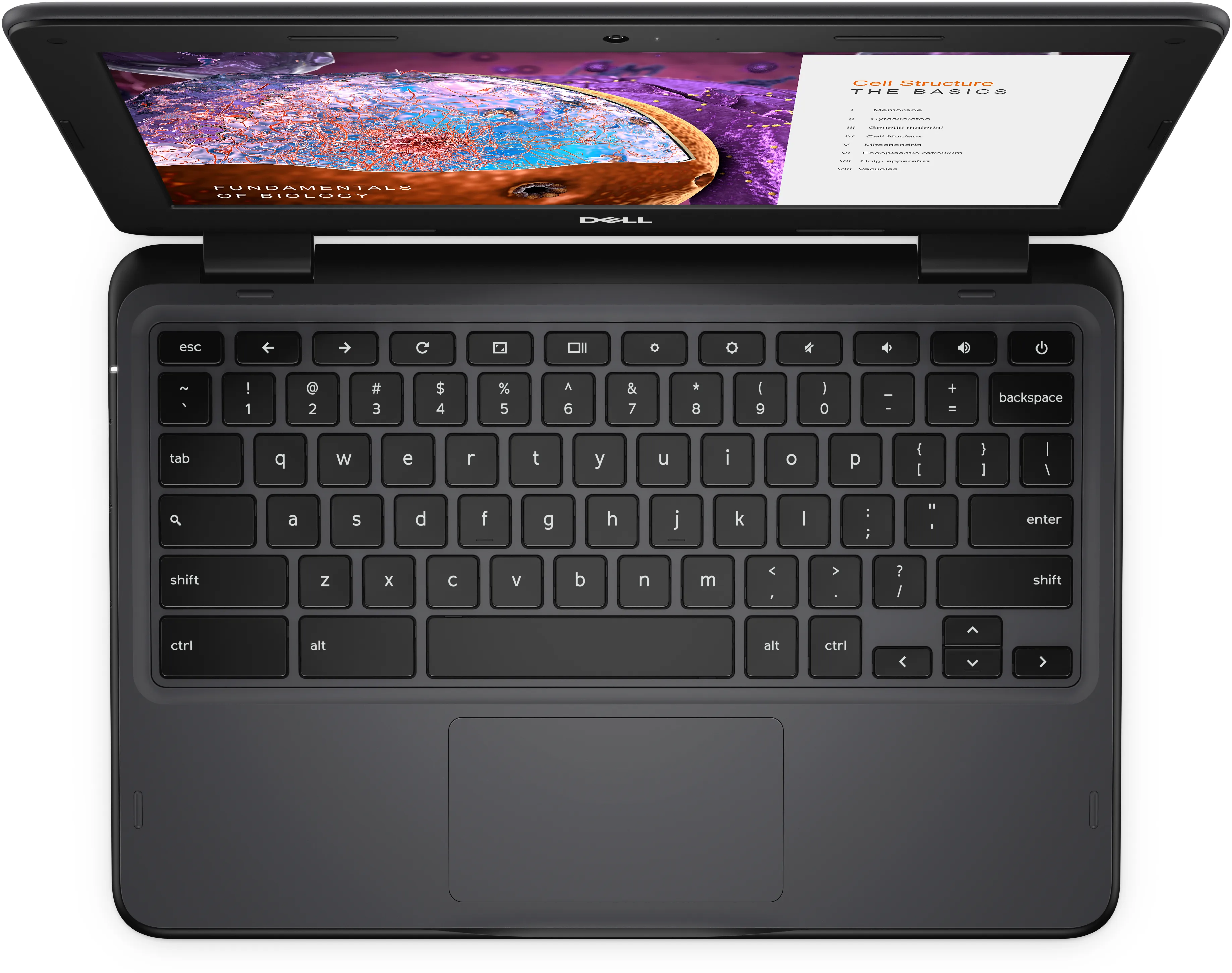 Dell Chromebook 3110 11.6" N4500, 4 Gt, 64 Gt, ChromeOS -kannettava, musta