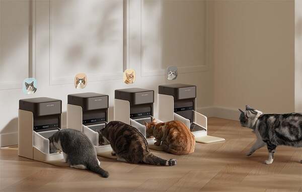 PETLIBRO One RFID-&auml;lyk&auml;s automaattinen lemmikkiel&auml;inten ruokinta-automaatti PL-AF301-31B kaulustunnisteella, 3 litraa