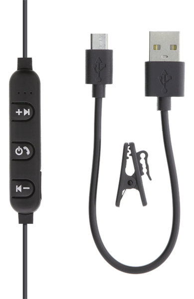 STREETZ In-ear BT headphones with microphone and control buttons, black