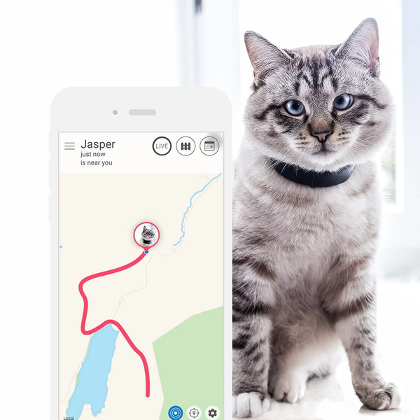 TRACTIVE GPS CAT