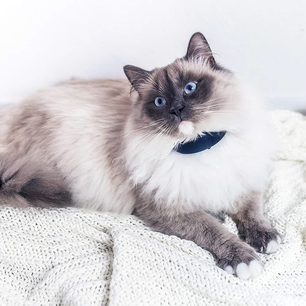 TRACTIVE GPS CAT