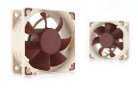 Noctua NF-A6x25 PWM, 60x25mm - case fan
