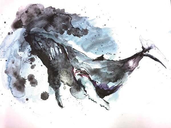 ZIG Fluid Graphite 60g