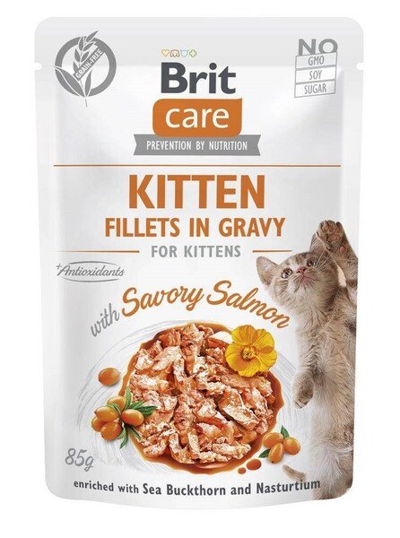 Brit Care Kitten Savory Salmon, V&aring;tfoder f&ouml;r katt, 85 g