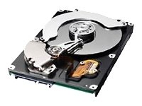 Samsung SpinPoint T166 500GB S-ATA300 16Mb