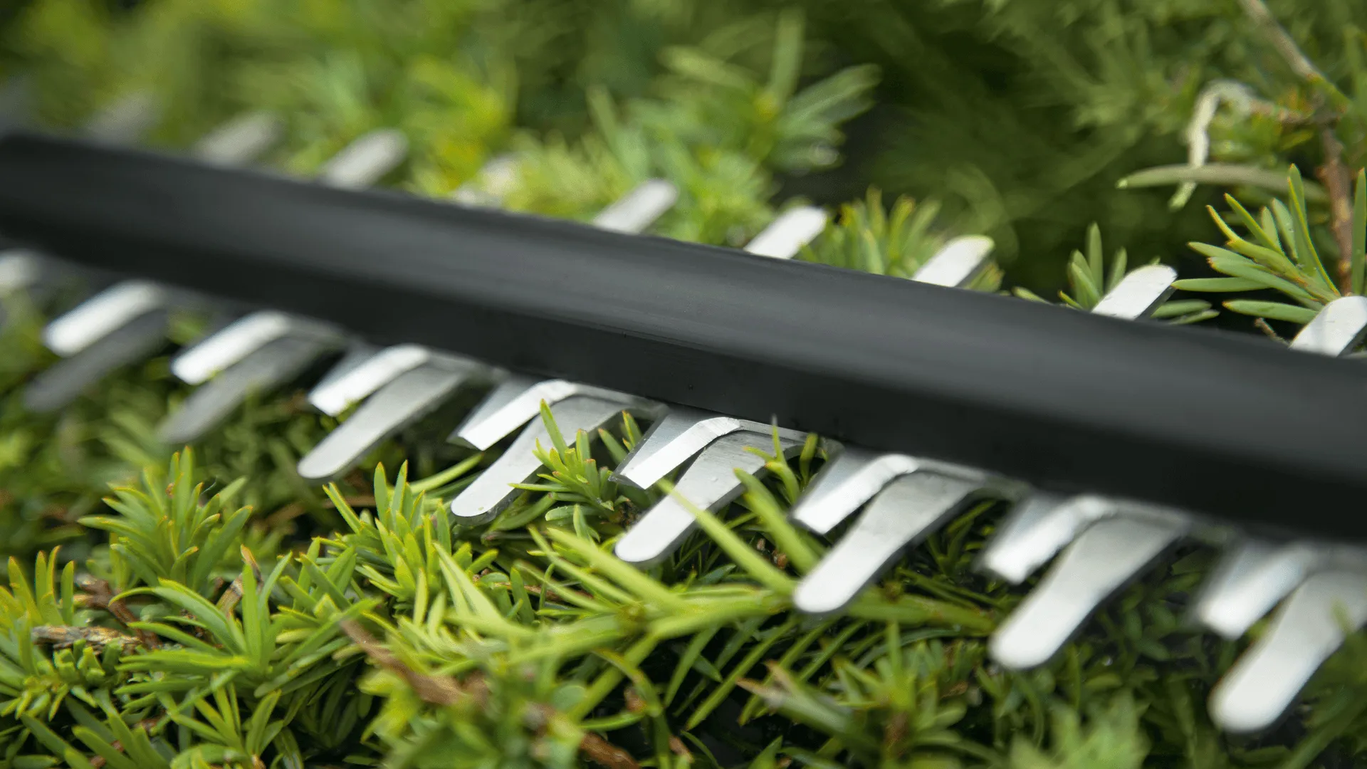 Bosch UniversalHedgeCut 18V-50 H&auml;cksax