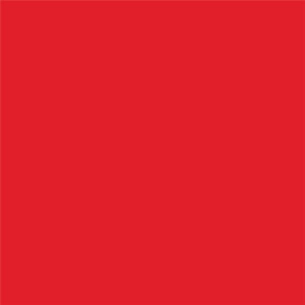 Cricut Infusible Ink Transfer Sheets 2-pack (Cherry Red)