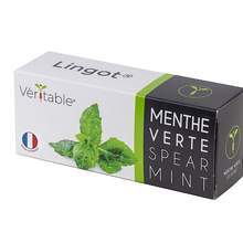VERITABLE Lingot Spearmint