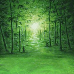 SCREENOR TEMPERED HONOR X7B / HONOR 90 SMART FULL COVER