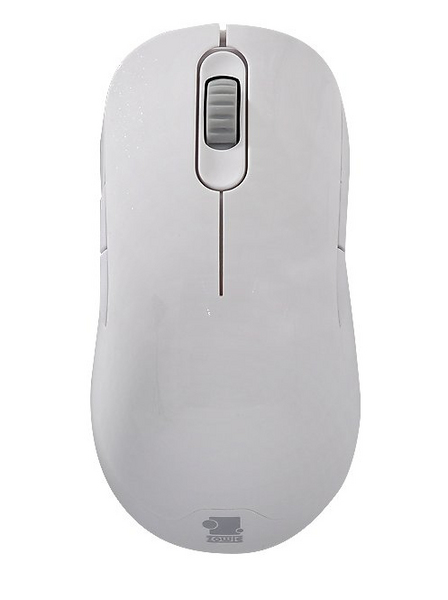 ZOWIE AM-FG White Mouse