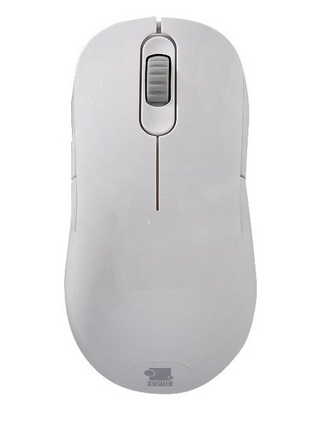ZOWIE AM-FG White Mouse