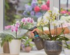 Gardena EasyPump - pumpspruta, 1l