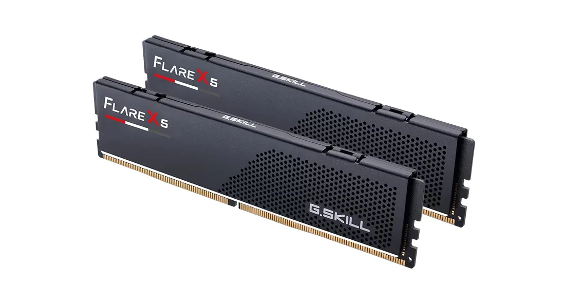 G.SKILL Flare X5 48GB (2 x 24GB) DDR5 6000 MHz, CL40 Memory (EXPO)