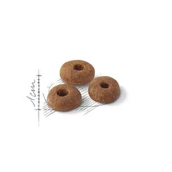 Royal Canin Fit 32, Kissan kuivaruoka, Adult, 2 kg
