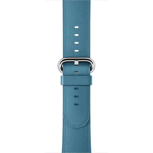 APPLE 42mm Marine Blue Classic Buckle