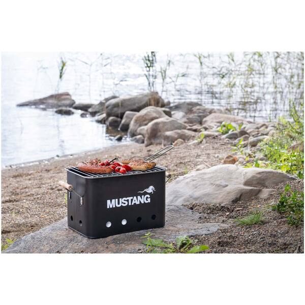 Mustang Party - kolgrill