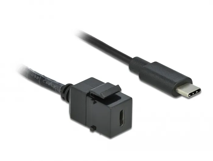 Delock Keystone Module USB-C - extension cable, Black