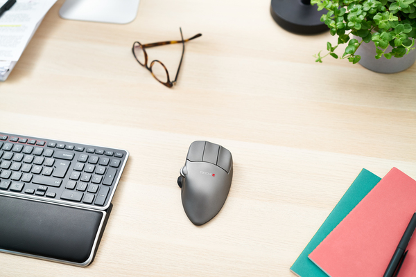 Mouse Large For Left Hand