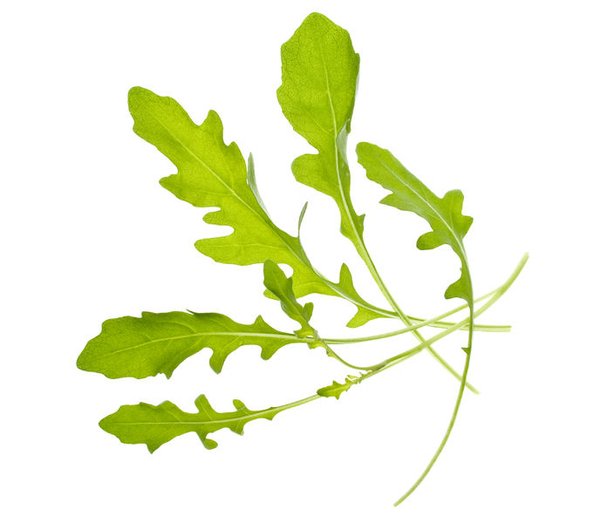 TREGREN Fr&ouml;kapslar Sallad Tv&aring; st