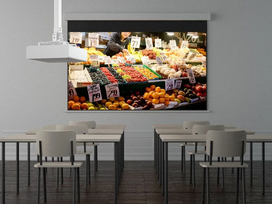 Universal Projector Ceilingmount