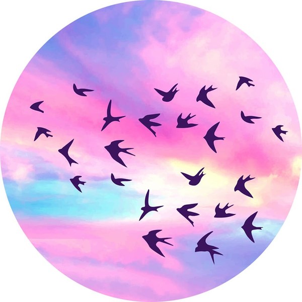 POPSOCKETS Born Free Self-adhesive Holder / Set