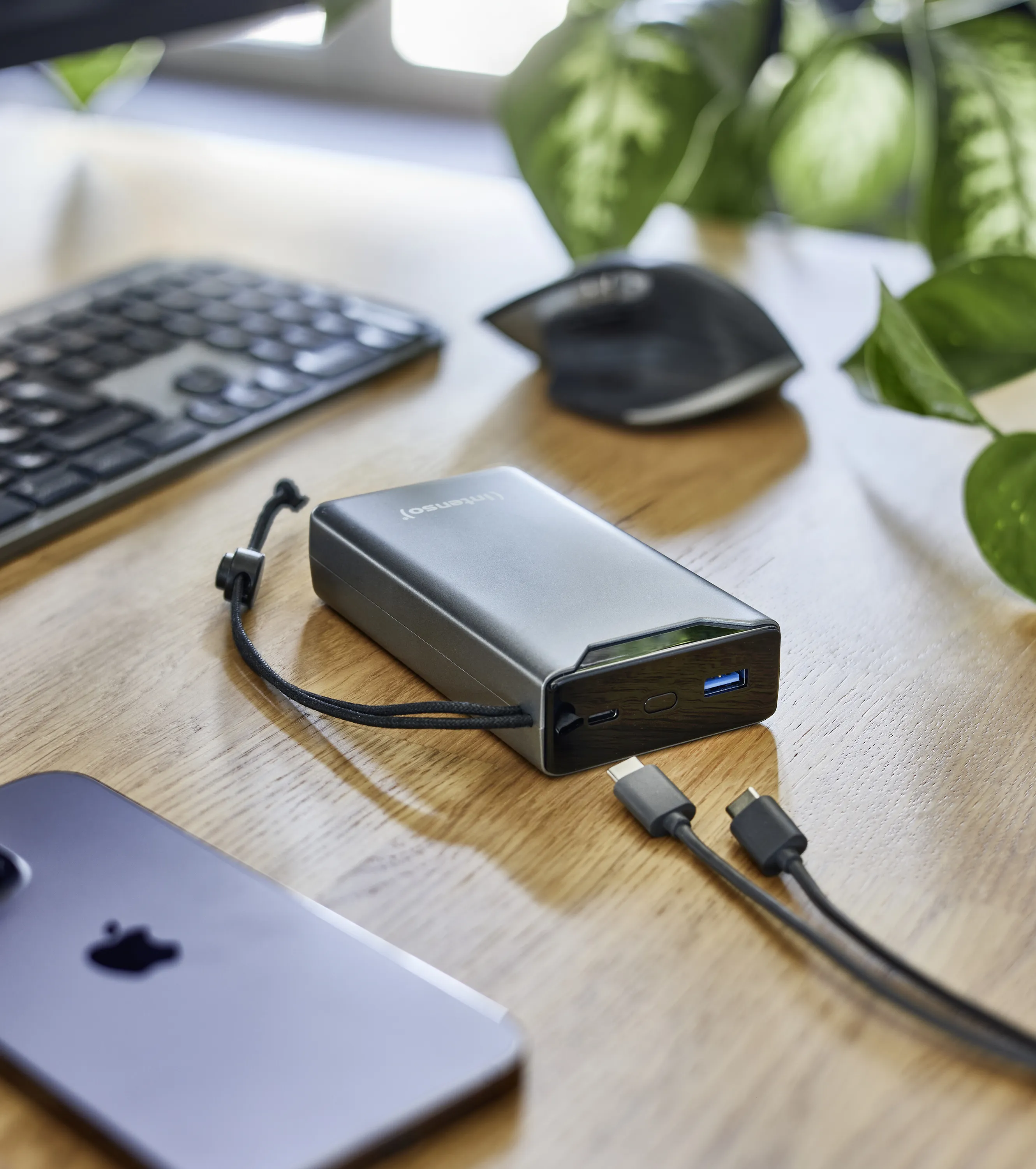 Intenso F20000 -varavirtalähde, 20000 mAh, Harmaa
