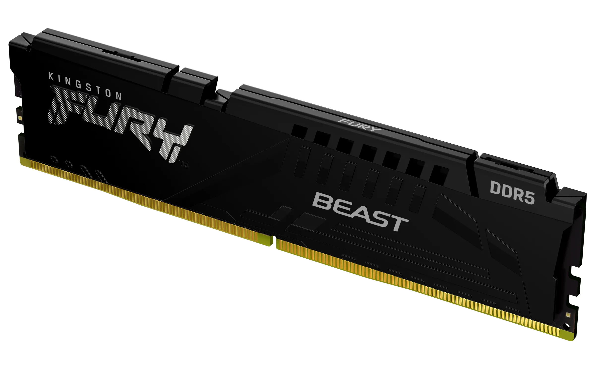 Kingston Fury Beast Black 16GB (1x16GB) DDR5 6000MT/s CL36 EXPO