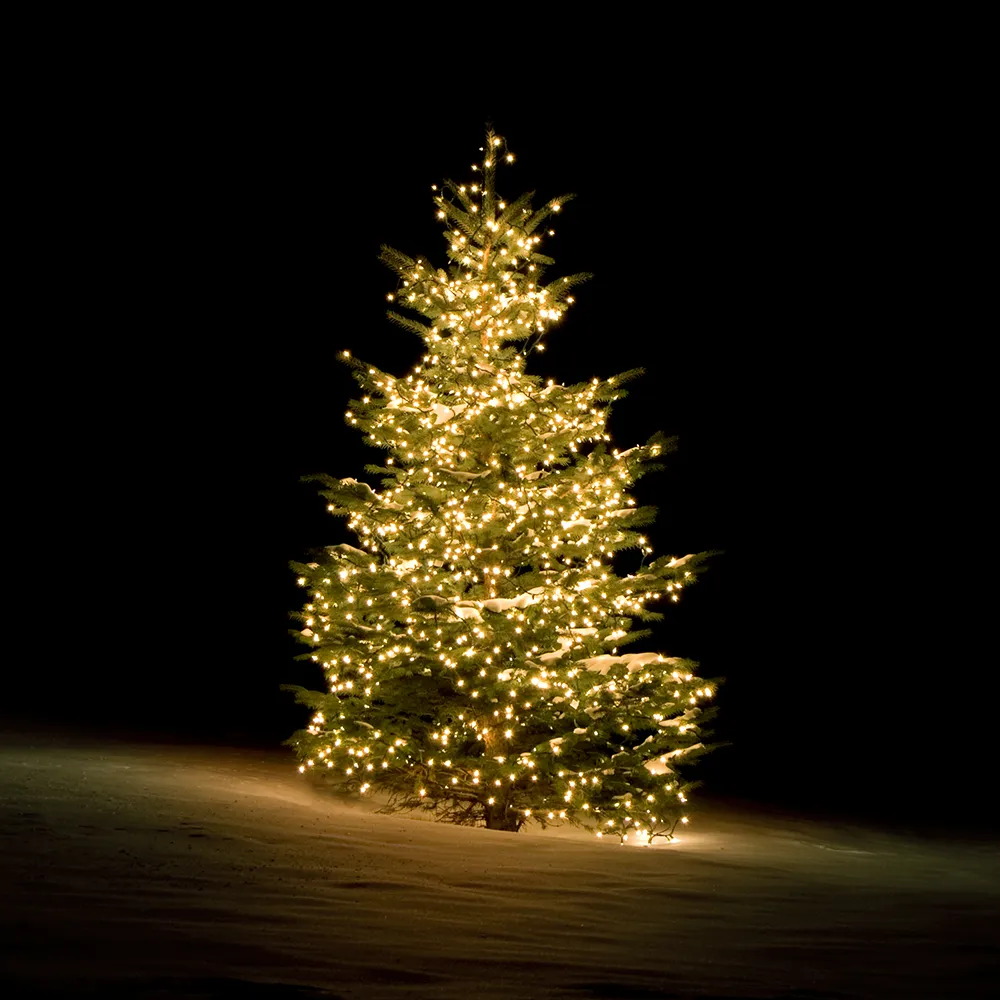 Deltaco Smart Home - tree light, 2m,10 strings, 300, adapter, IP44, Warm White